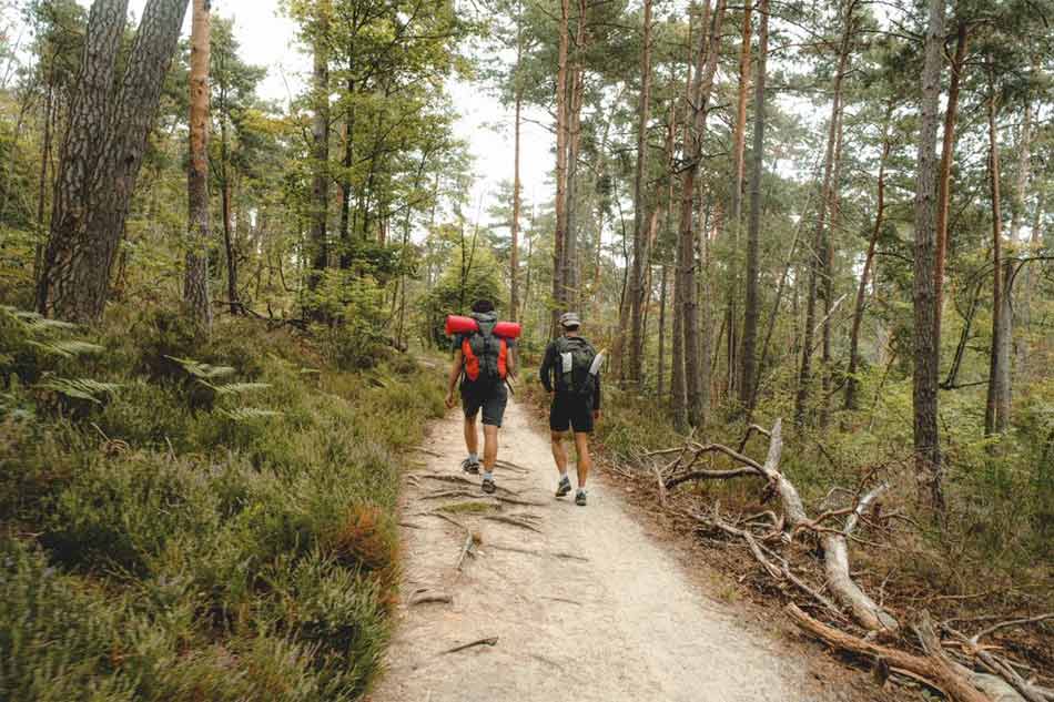 "Die Natur ist überall in der Region Paris und es werden viele Outdoor-Aktivitäten angeboten"