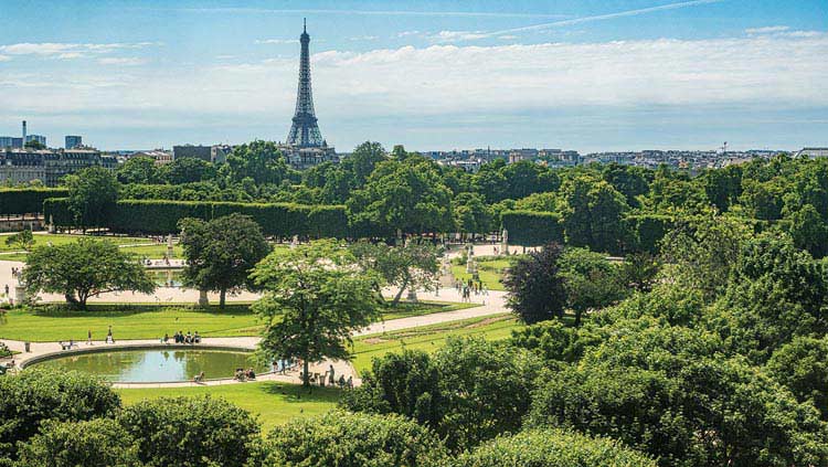 Paris Tuileries Tour Eiffel