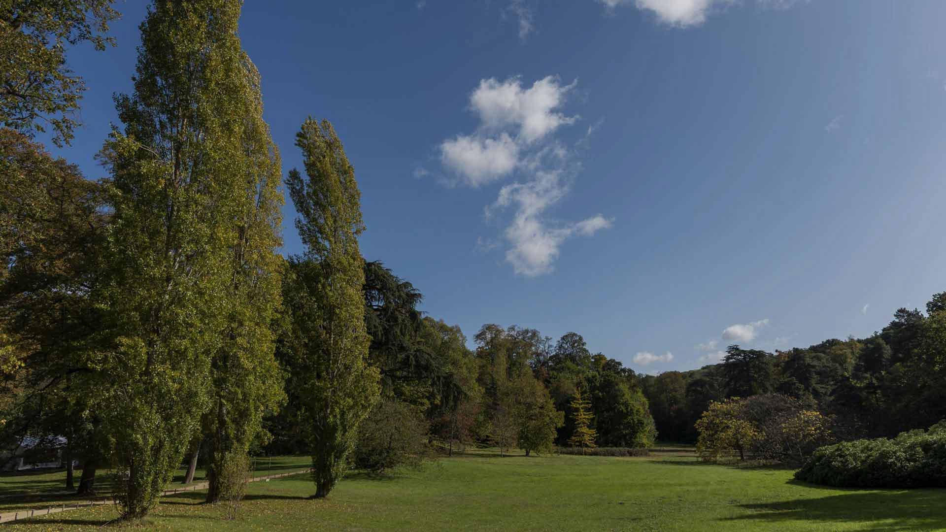 A Sustainable Region